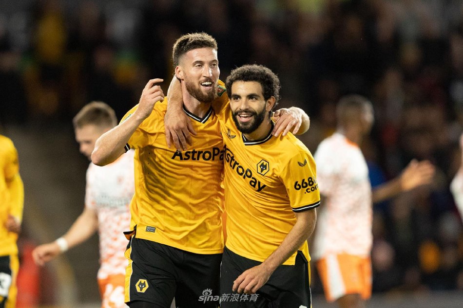 莱沃库森在 莱沃库森在